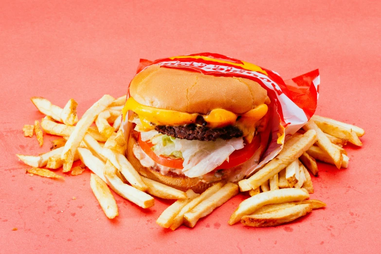 a hamburger sitting on top of a pile of french fries, by Julia Pishtar, on a red background, red stripe, chuck e. cheese, epicurious