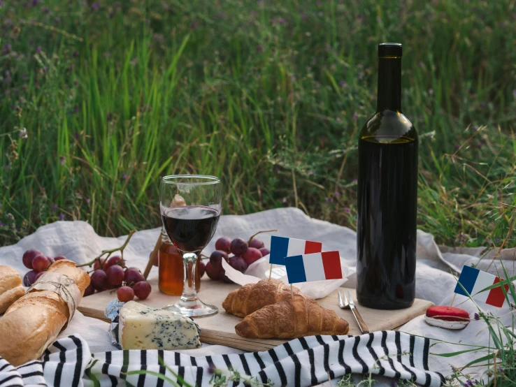 a bottle of wine, bread and grapes on a picnic blanket, pexels contest winner, french flag, fine dining, various posed, black