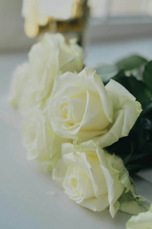 a bunch of white roses sitting on top of a table, in profile, up close, comforting, award - winning details