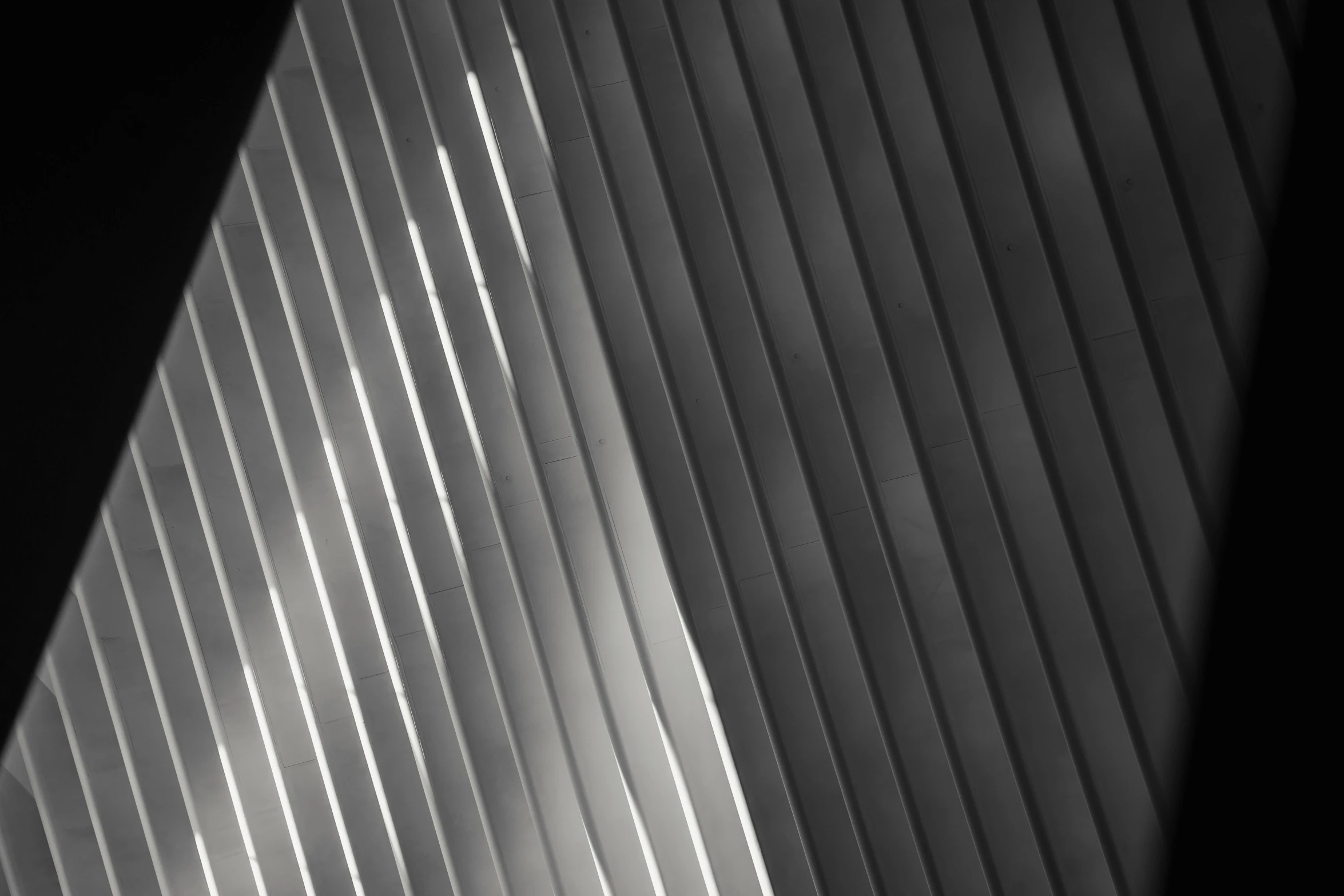 a black and white photo of a building, inspired by Ryoji Ikeda, pexels contest winner, light and space, coated pleats, macro up view metallic, vectorial curves, angular metal