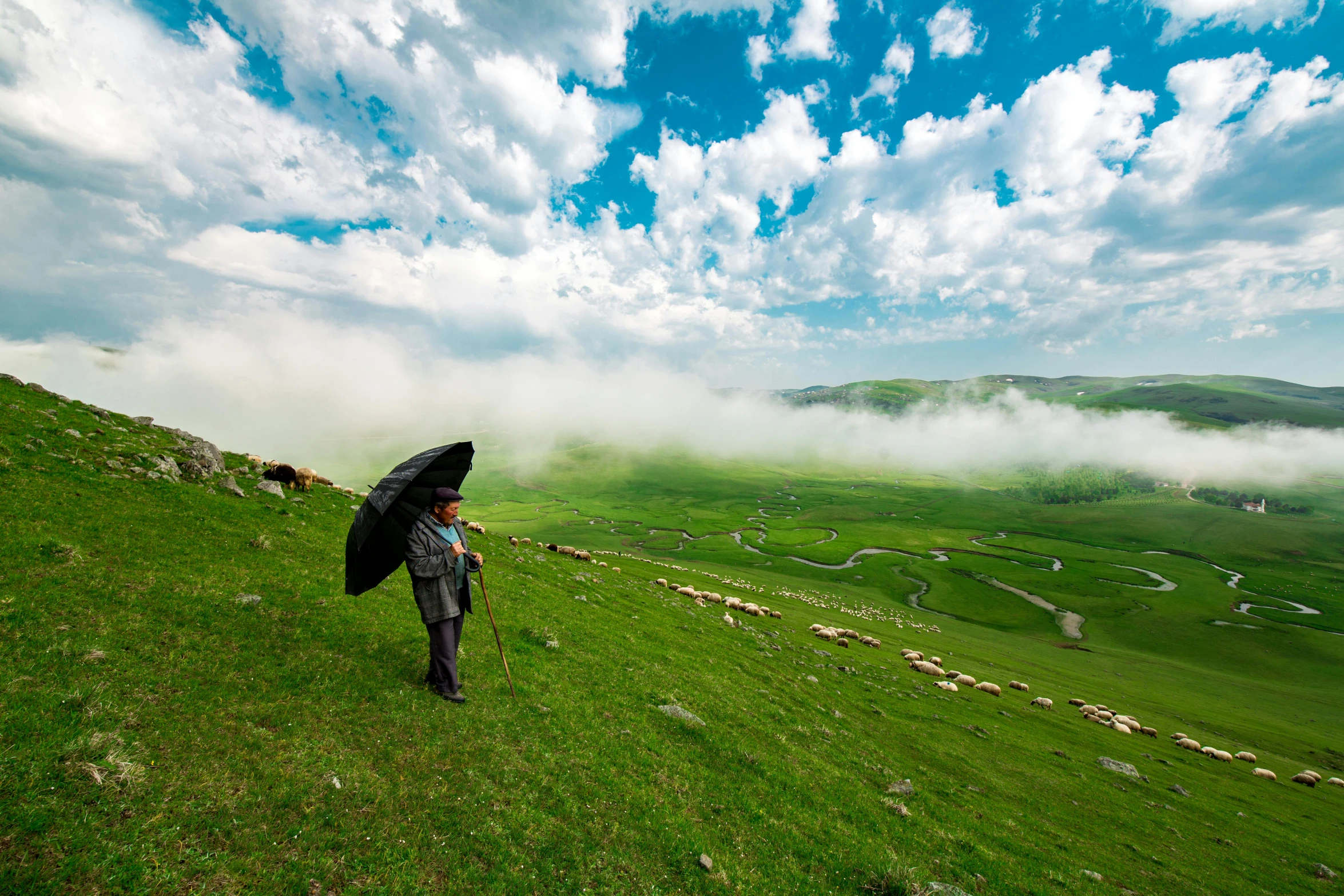 a person walking up a hill with an umbrella, by Sohrab Sepehri, pexels contest winner, blue sky and green grassland, iralki nadar, in a cloud, concert