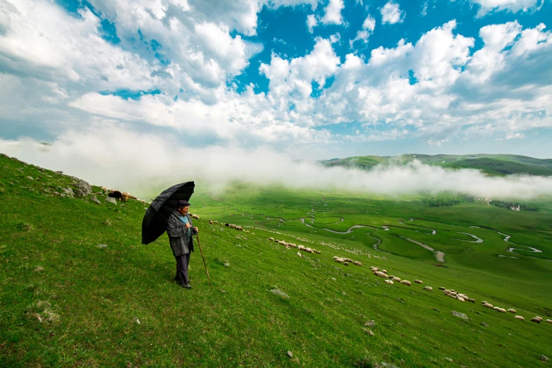 a person walking up a hill with an umbrella, by Sohrab Sepehri, pexels contest winner, blue sky and green grassland, iralki nadar, in a cloud, concert