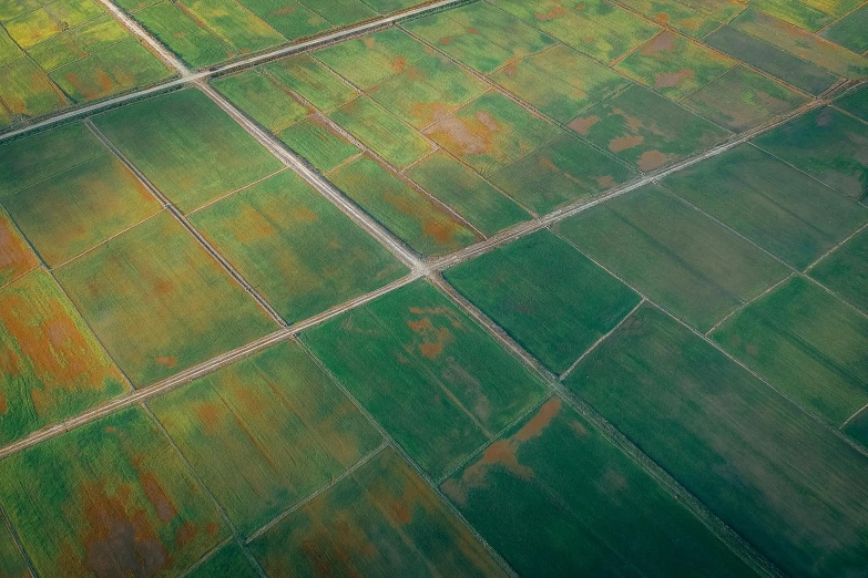 an aerial view of a field of crops, by Jan Rustem, rust and corrosion, verdant gradient, square lines, intersection