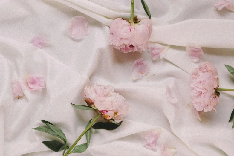 a bunch of pink flowers sitting on top of a white cloth, silk robes, wearing a long flowy fabric