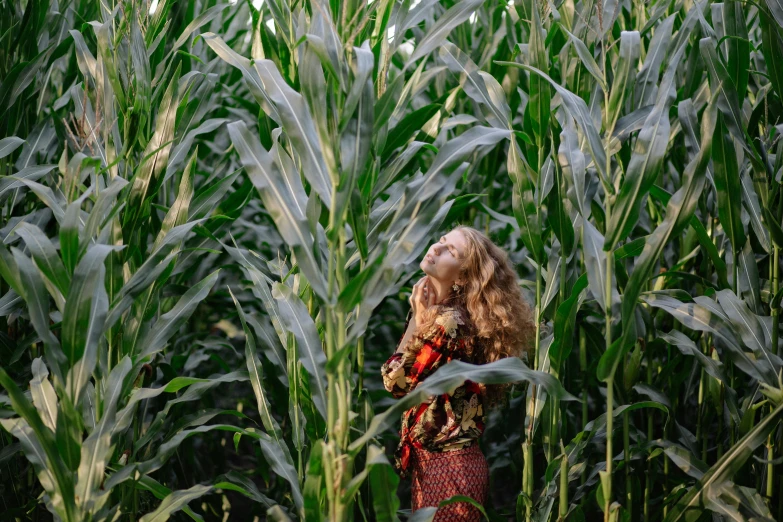 a woman standing in the middle of a corn field, by Caroline Mytinger, pexels contest winner, sadie sink, avatar image, tiny girl looking on, high quality image