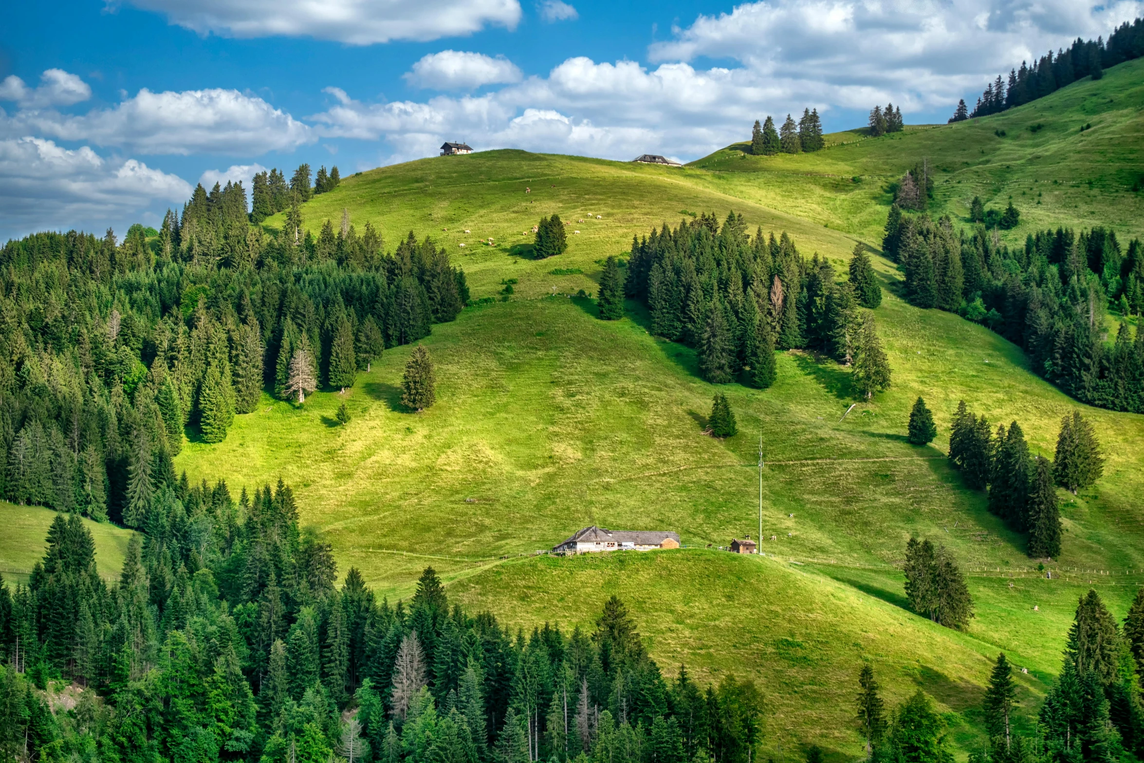 a house sitting on top of a lush green hillside, by Matthias Stom, pexels contest winner, spruce trees, grazing, slide show, 1 4 9 3