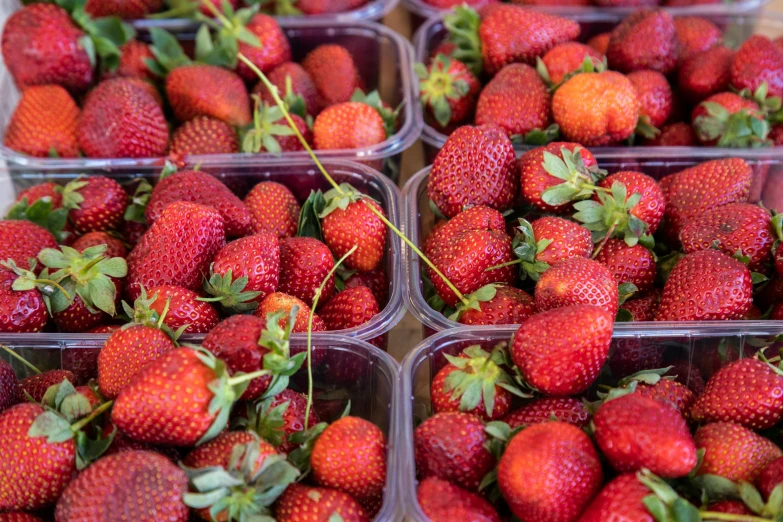 a close up of a bunch of strawberries in plastic containers, by Yasushi Sugiyama, pexels, 2 5 6 x 2 5 6 pixels, wide high angle view, belgium, olivia kemp