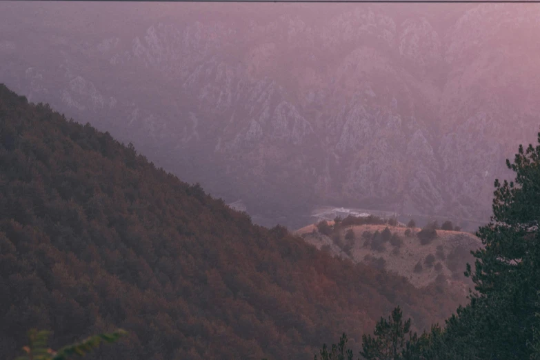 a couple of sheep standing on top of a lush green hillside, by Muggur, pexels contest winner, les nabis, soft light 4 k in pink, twilight ; wide shot, pine forests, panoramic view