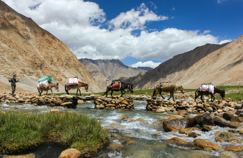 a group of people riding horses across a river, inspired by Steve McCurry, pexels contest winner, hurufiyya, himalayas, panels, rocky roads, profile image