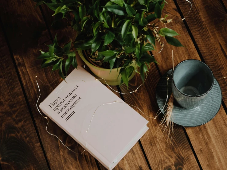 a book sitting on top of a wooden table next to a plant, by Niko Henrichon, pexels contest winner, table in front with a cup, thumbnail, background image, abcdefghijklmnopqrstuvwxyz