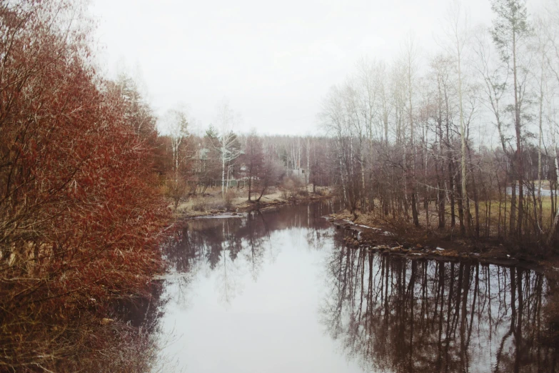 a large body of water surrounded by trees, by Grytė Pintukaitė, medium format. soft light, magical soviet town, muted colors. ue 5, grey
