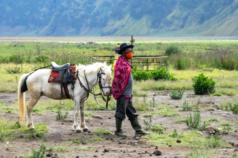 a man standing next to a white horse in a field, pexels contest winner, sumatraism, avatar image, active volcano, carrying a saddle bag, square
