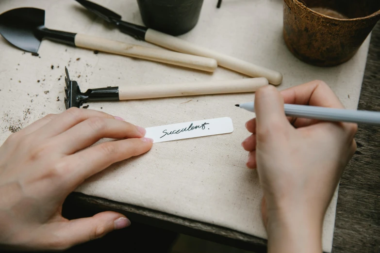 a person is writing something on a piece of paper, trending on pexels, arbeitsrat für kunst, estrange calligraphy, product label, cutest, enamel