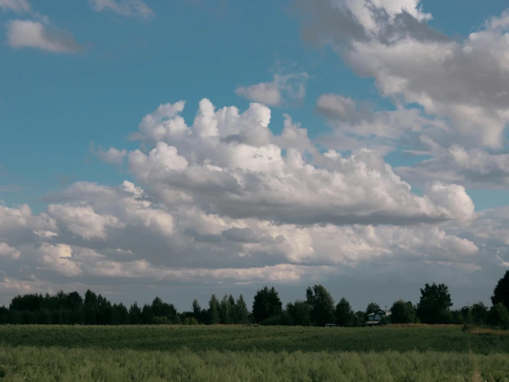 a herd of cattle grazing on a lush green field, unsplash, magic realism, layered stratocumulus clouds, video, summer field, atmospheric photo