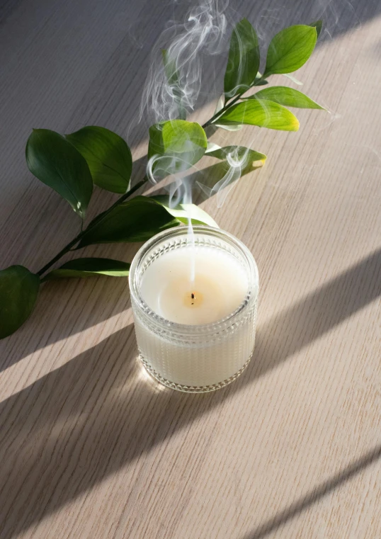 a candle sitting on top of a wooden table, detailed product image, ivy, three quarter shot, bright white
