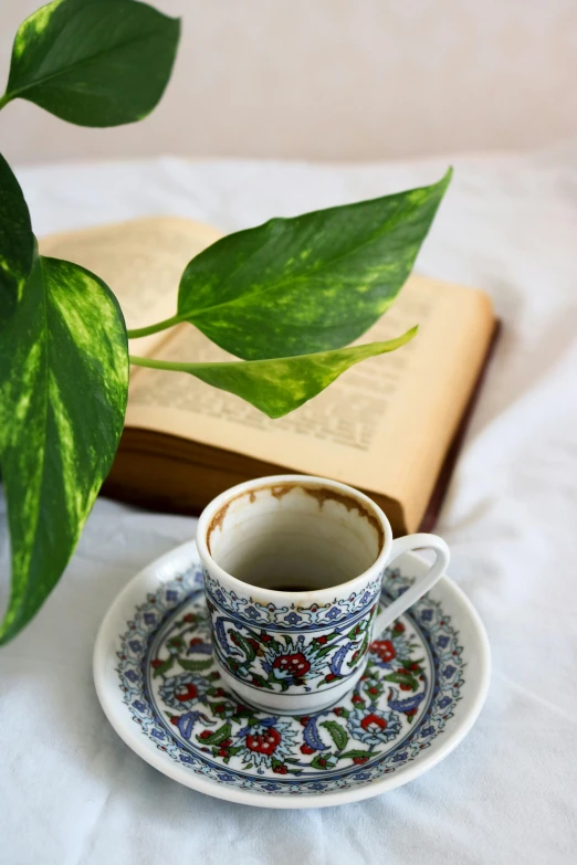 a coffee cup sitting on top of a saucer next to a book, inspired by Fikret Muallâ Saygı, arabesque, green plant, ivy, full product shot, multiple stories