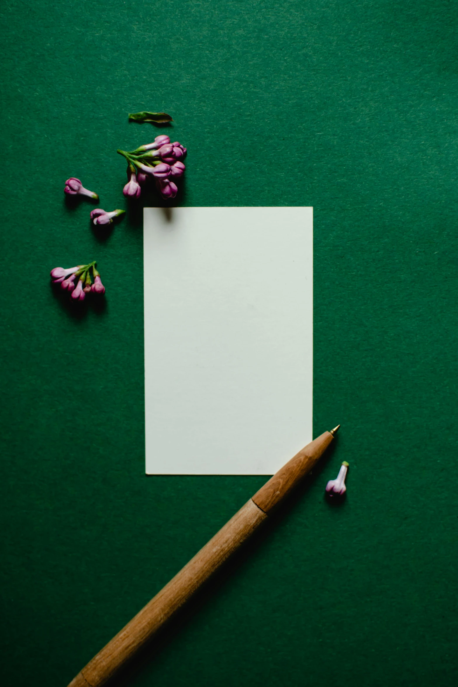 a piece of paper and a pencil on a green background, a picture, by Carey Morris, pexels contest winner, flower frame, white sleeves, card template, night mood