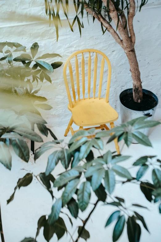a yellow chair sitting next to a potted plant, inspired by Elsa Bleda, pexels contest winner, low quality photo, tree and plants, mini model, a quaint