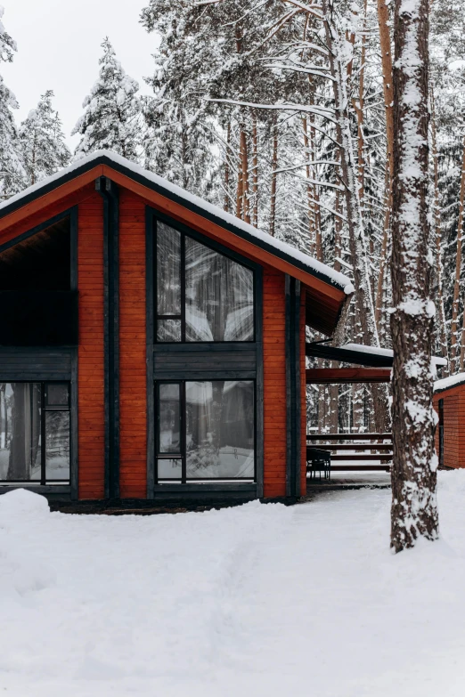 a cabin in the middle of a snowy forest, pexels contest winner, modernism, luxurious wooden cottage, фото девушка курит, red brown and grey color scheme, 3/4 front view