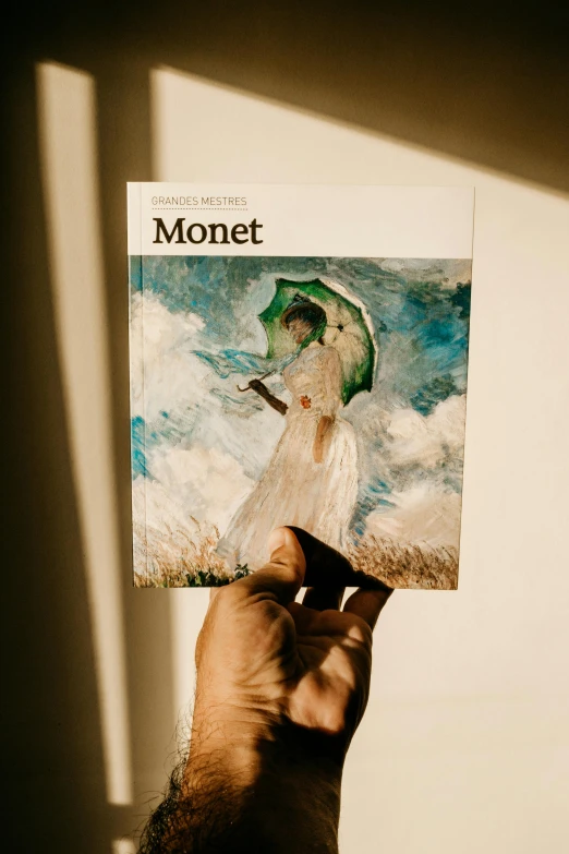 a person holding a magazine in their hand, by Monet, pexels contest winner, album cover, angled shot, nft art, daniel motz