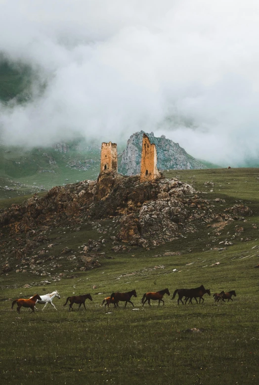 a herd of horses walking across a lush green field, by Muggur, old ruins tower, epic land formations