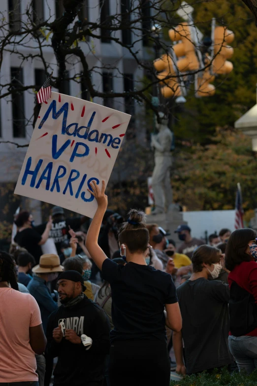 a person holding a sign in front of a crowd of people, hardops, heavily downvoted, thumbnail, vargas