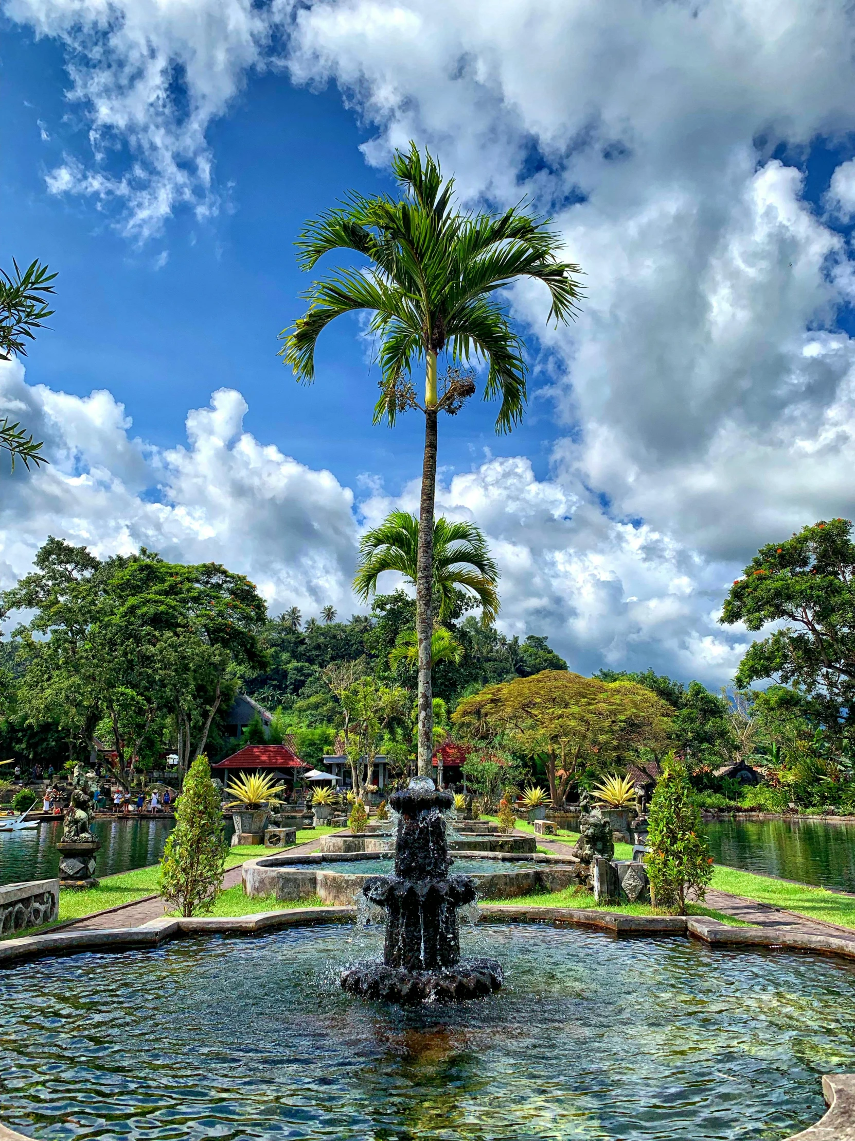 a fountain surrounded by palm trees in a park, sumatraism, taken in 2 0 2 0, square, lake view, with a tall tree