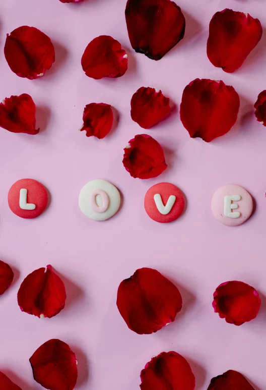 the word love surrounded by rose petals on a pink background, by Julia Pishtar, round red m & m figure, sweets, colored photography, panel