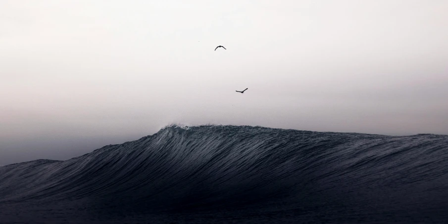two birds flying over a large wave in the ocean, by Cam Sykes, pexels contest winner, surrealism, minimalistic, instagram post, mobile wallpaper, {on edge}