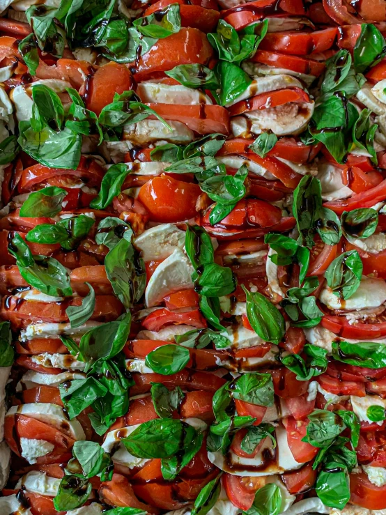 a pizza sitting on top of a pan on top of a table, profile image, thumbnail, squares, basil