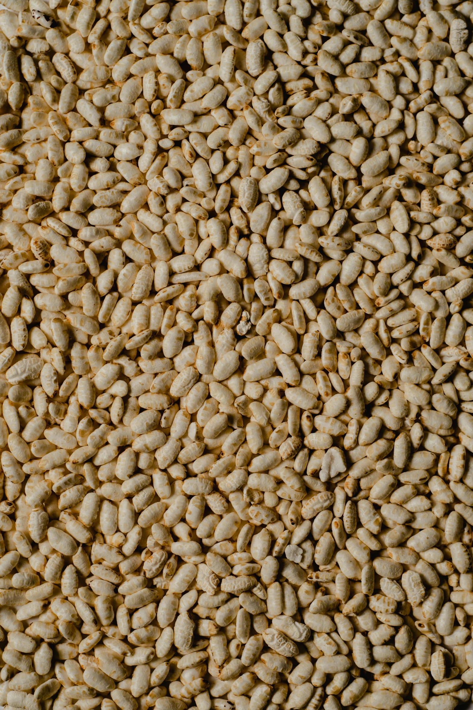 a pile of sesame seeds sitting on top of a table, reddit, mingei, detailed product image, birdseye view, medium blonde, dynamic closeup