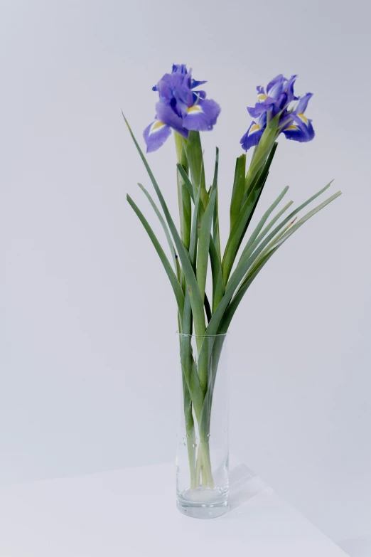 a vase filled with purple flowers on top of a table, by David Simpson, photorealism, focus on iris, ( ultra realistic, plant, made of glazed