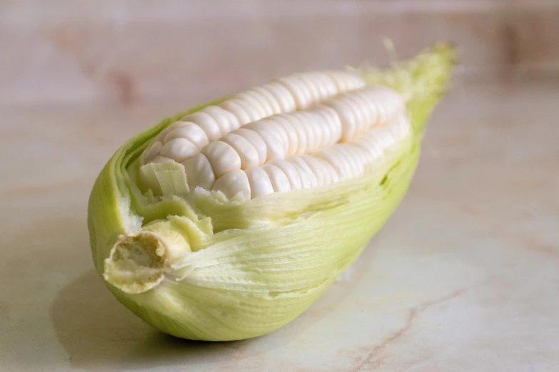 a close up of an ear of corn on a counter, inspired by Carpoforo Tencalla, renaissance, pale white face, 6 pack, mint, palm body