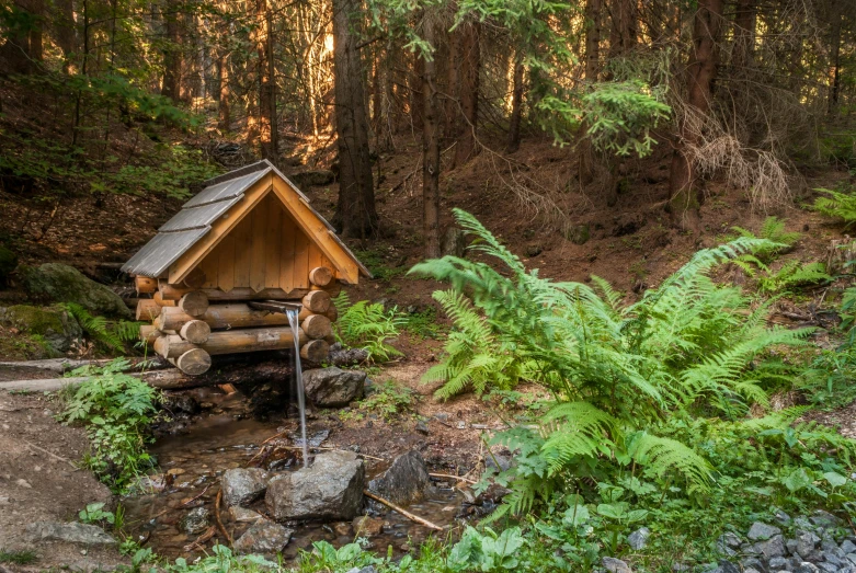 a well made out of logs in the woods, renaissance, small water stream, in a redwood forest, sauna, profile image