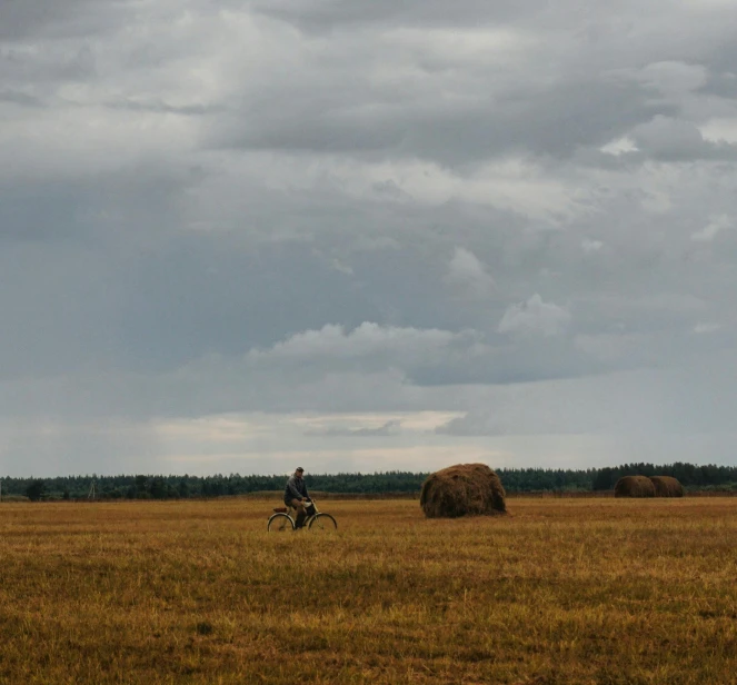 a person riding a bike through a field, by Attila Meszlenyi, unsplash contest winner, realism, russian landscape, hay, grey cloudy skies, an expansive grassy plain