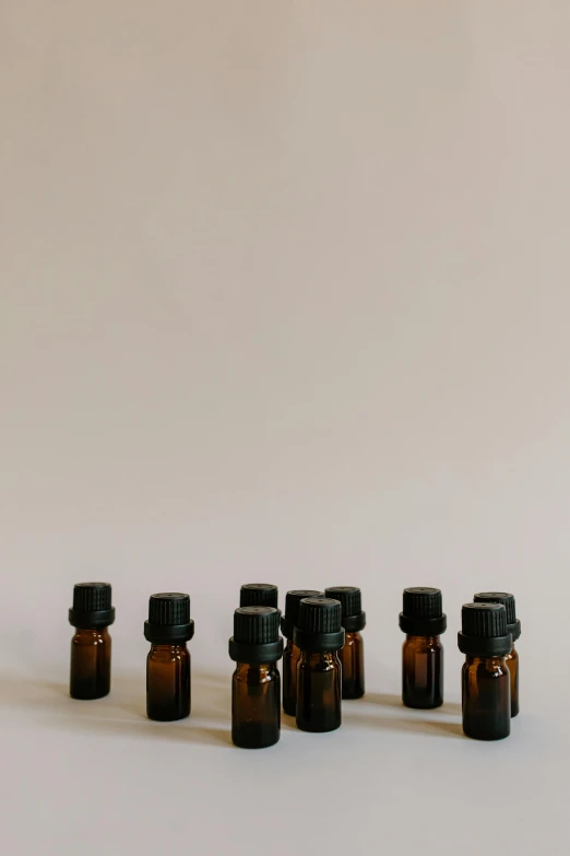 a group of small bottles sitting next to each other, unsplash, panel of black, sienna, high quality photo, te pae