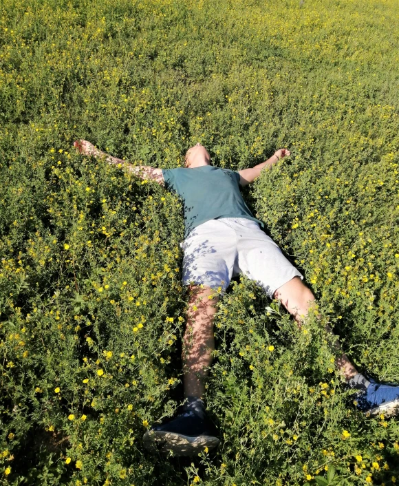 a man laying in a field of yellow flowers, by Ren Hang, tumbleweeds, hyper - realist, taken in the late 2010s, greens)