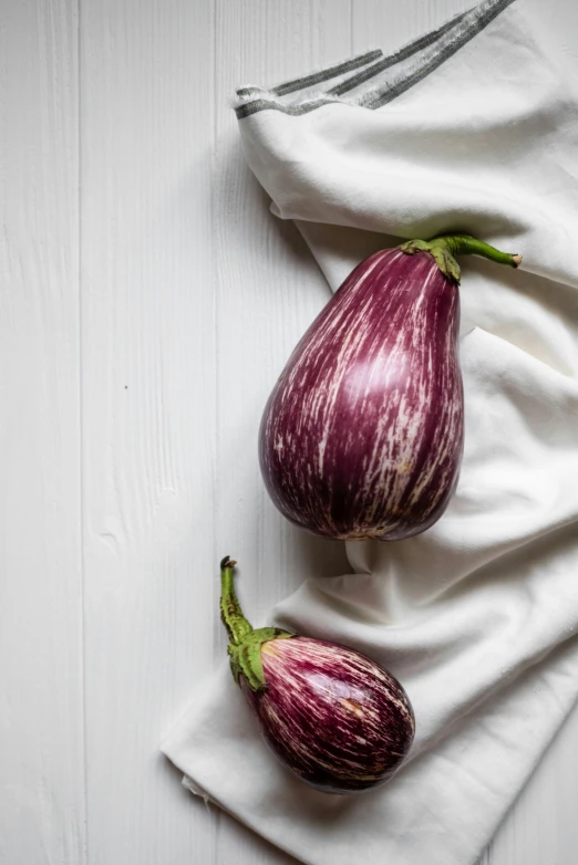 two eggplants sitting on top of a white cloth, a picture, by Giorgio De Vincenzi, unsplash, renaissance, ((purple)), made of glazed, in rows, full body close-up shot