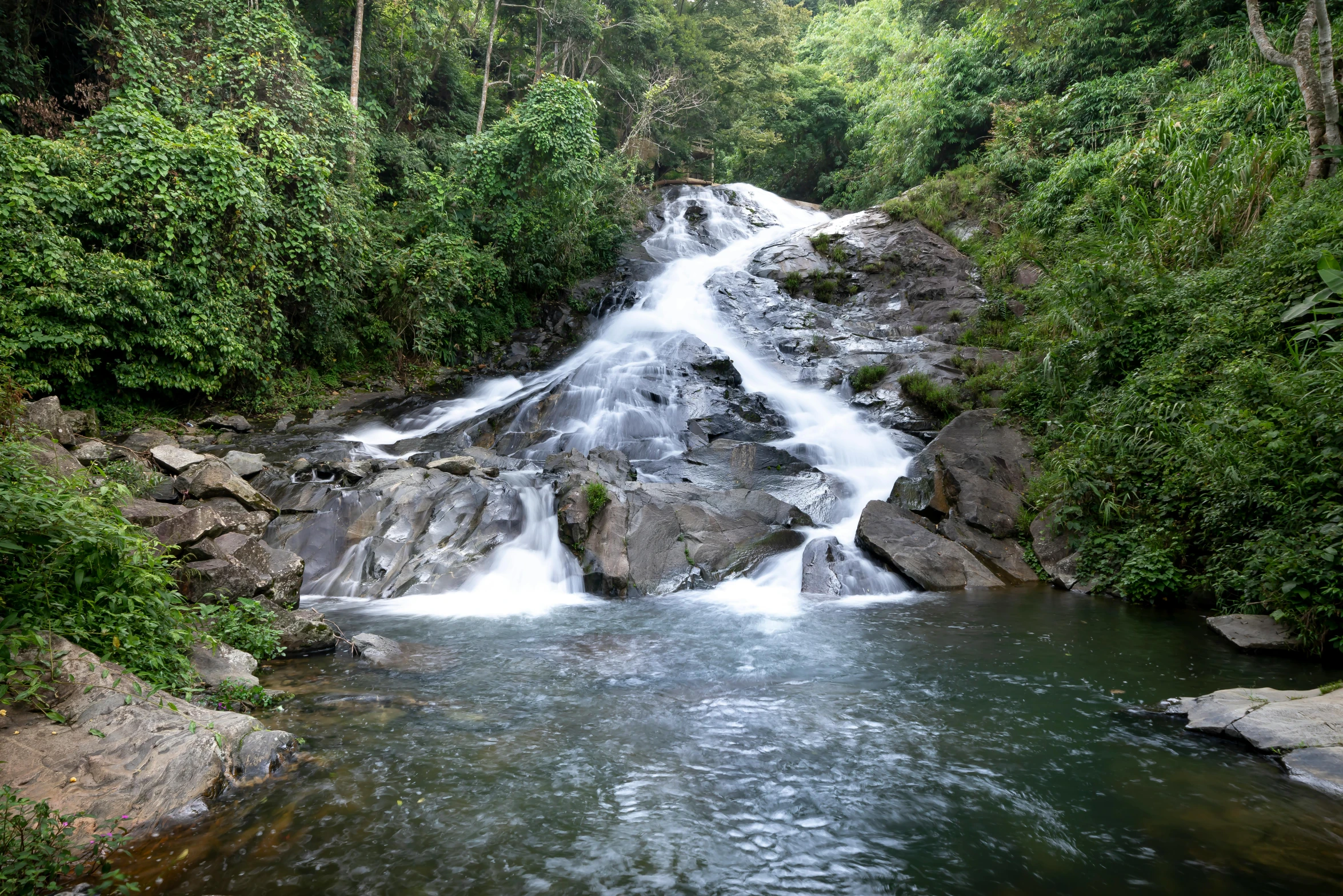 a waterfall in the middle of a lush green forest, hurufiyya, malaysian, slide show, thumbnail, leaked image