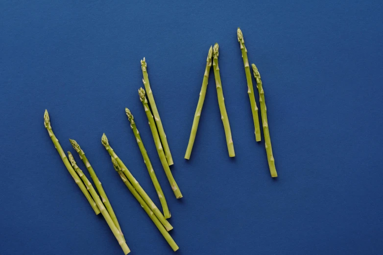 asparagus spears on a blue background, unsplash, clemens ascher, 15081959 21121991 01012000 4k, detailed product image, dezeen