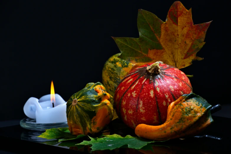 a group of gourds sitting on top of a table next to a lit candle, profile image, flaming leaves, square, trending photo