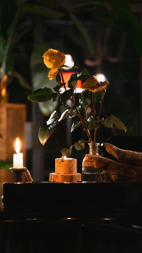 a couple of candles sitting on top of a table, a still life, inspired by Elsa Bleda, trending on unsplash, photo of a rose, high quality photo, dimly-lit cozy tavern, concert