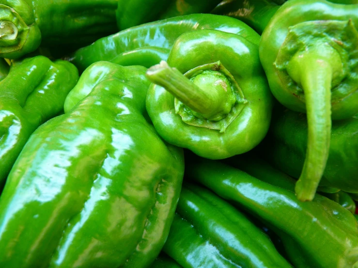 a pile of green peppers sitting on top of each other, profile image, fan favorite, chilean, hot food