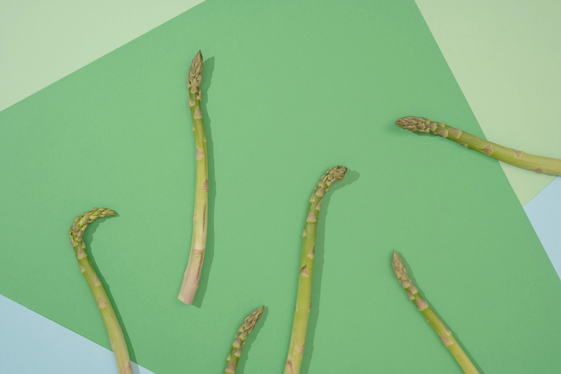 asparagus spears on a green and blue background, by Julia Pishtar, conceptual art, background image, dezeen, floating objects, sustainable materials