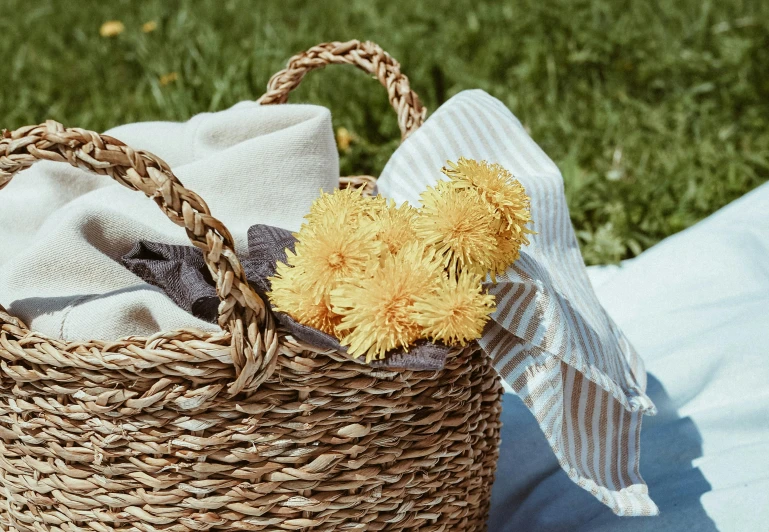 a basket filled with towels sitting on top of a blanket, by Carey Morris, pexels contest winner, dandelions, picnic, detail shot, picking up a flower