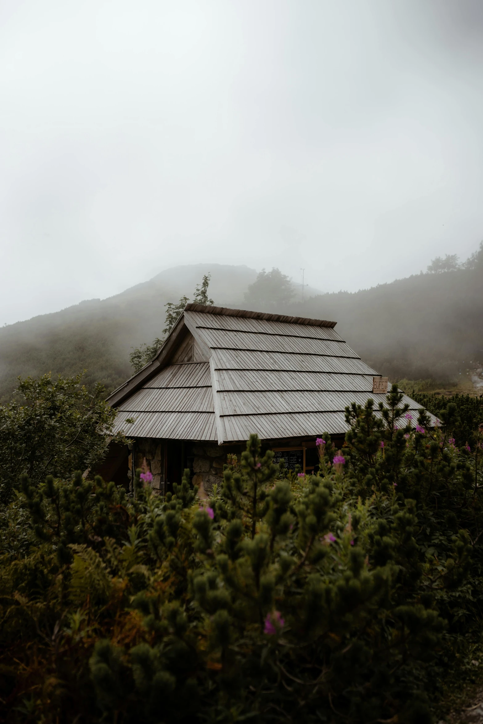 a small building sitting on top of a lush green field, a picture, unsplash contest winner, sumatraism, witch hut, overcast gray skies, japan mountains, vintage photo