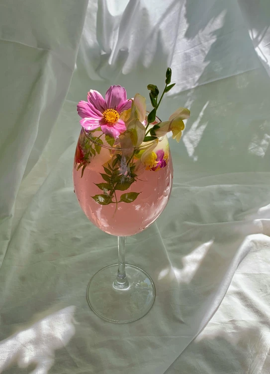 a close up of a wine glass with flowers in it, heaven pink, botanical herbarium, lemonade, dasha taran