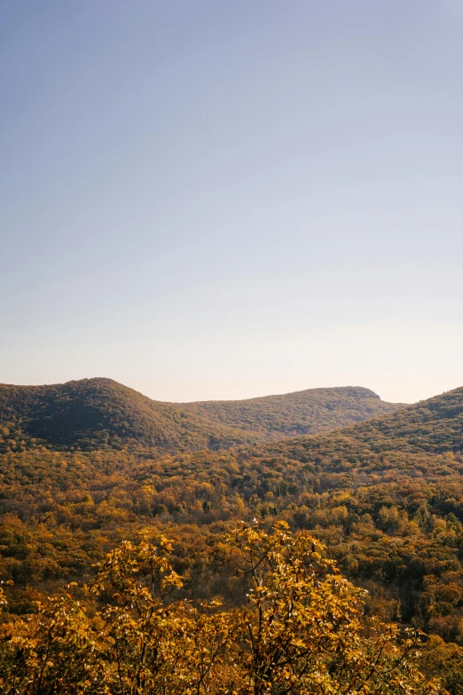 a man flying a kite on top of a lush green hillside, inspired by Asher Brown Durand, trending on unsplash, hudson river school, autumn foliage in the foreground, view from distance, chiseled formations, blue