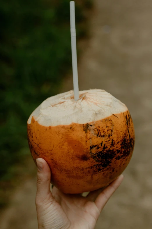 a person holding a coconut drink in their hand, by Jacob de Heusch, unsplash, multiple stories, made of glazed, full frame image, pumpkin