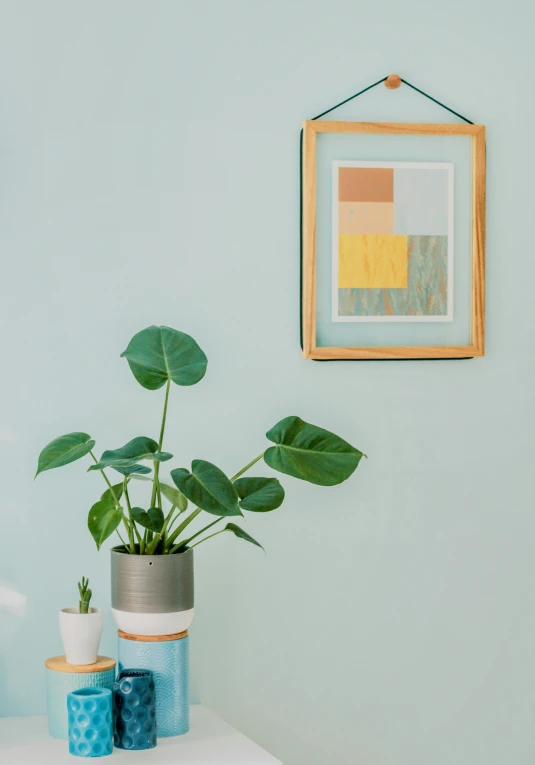 a potted plant sitting on top of a white table, a minimalist painting, pexels contest winner, cyan and gold scheme, inside a frame on a tiled wall, low quality photo, detailed product image